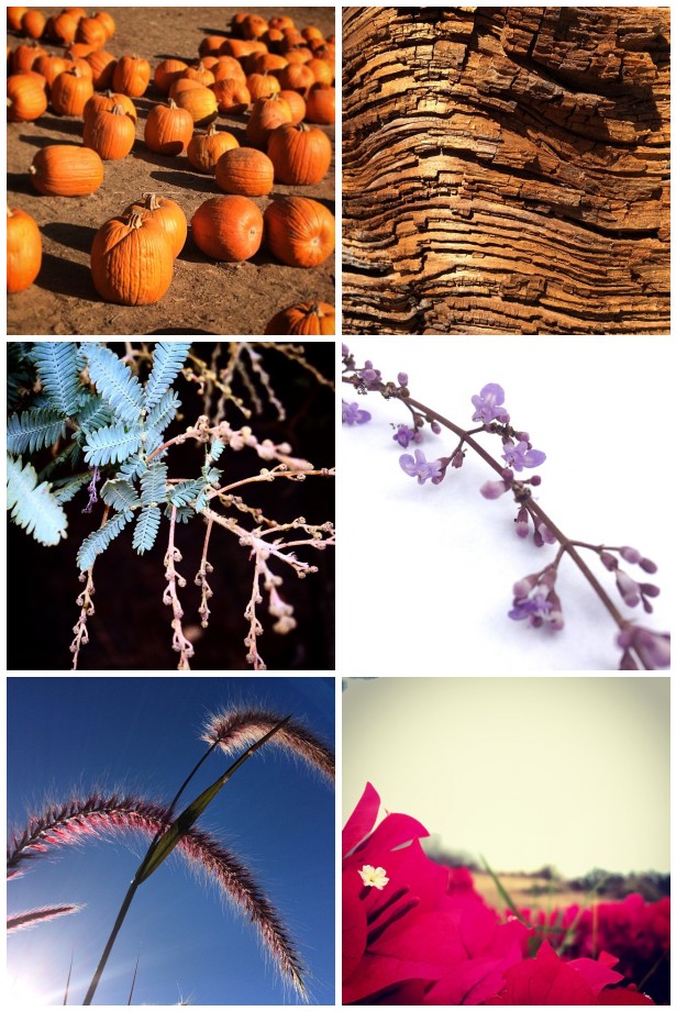 mosaic9555fd5e2cf6d1e5750df4e1b7dfd12f5bd6165c